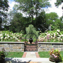 Rain Gardens