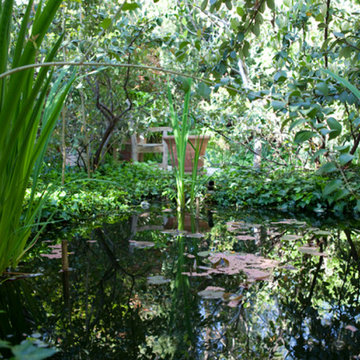 Jardín urbano