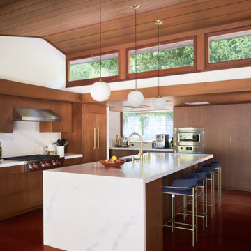 Olof Dahlstrand Remodel by Klopf