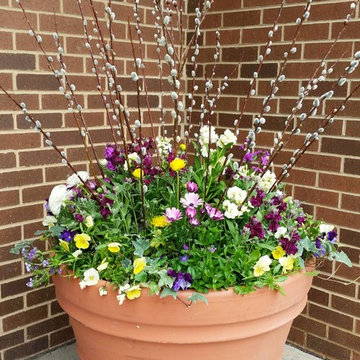 Seasonal Display