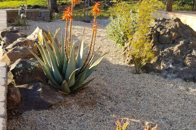 This is an example of a southwestern landscaping in Sacramento.