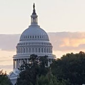 Foto von James Whitman