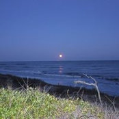Kristie Trapp's photo