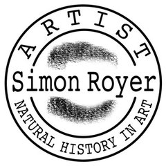 Simon Royer Natural History in Art