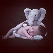Humberto Zermeno's photo