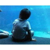 David Nguyen's photo