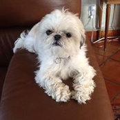 Cheryl Farthing's photo