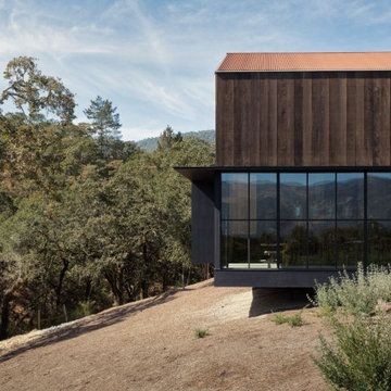 Window Walls & Storefront design inspiration