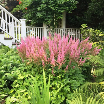 Various Plantings