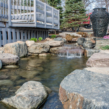 Backyard koi pond