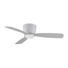 Ceiling Fans