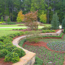 cliff patio landscape