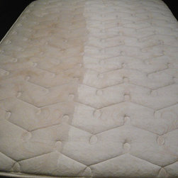 Carpet Cleaning - Carpet & Steam Cleaners