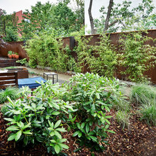 Landscape Ideas