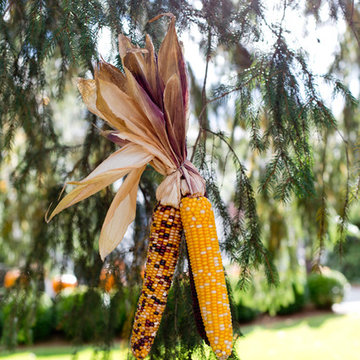 Houzz TV: Take a Leaf-Peeping Road Trip in New England