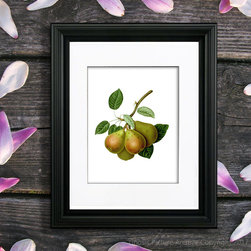 Pear Fruit Art prints Kitchen Wall decor ideas - Products