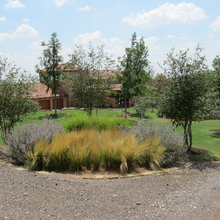 Amarillo patio/side yard
