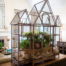 Indoor Plantings