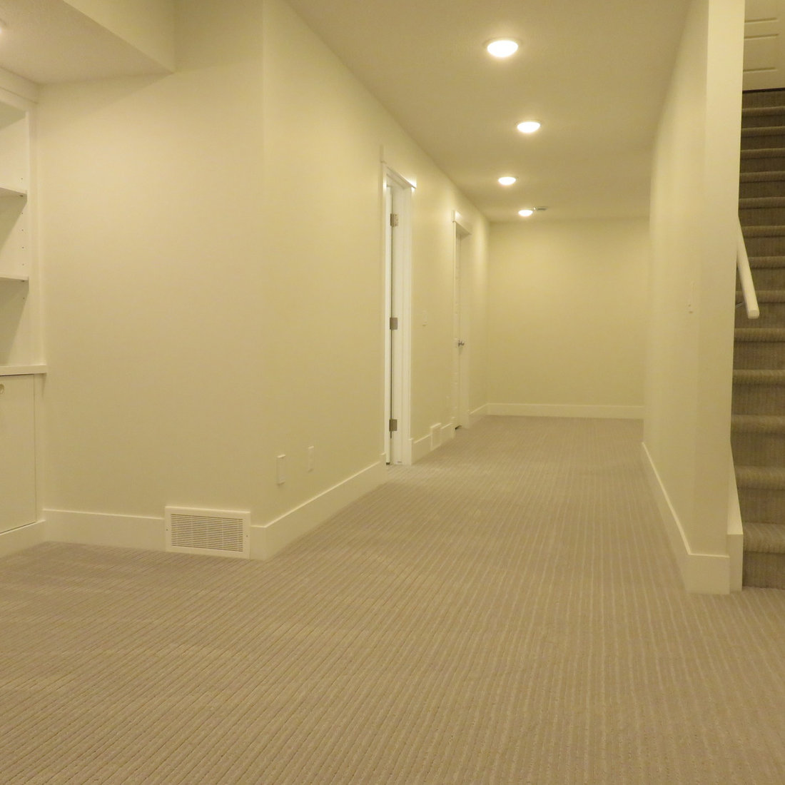 Mount Pleasant Basement Dev