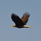Paul Kratochwill's photo