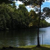 Nancy Halstead's photo