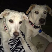 Rita Lapushinsky's photo