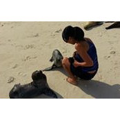 Shirley Wu's photo