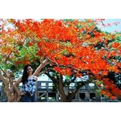 Molly Leyva's photo