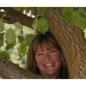 Shannon Nelson's photo
