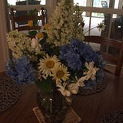 Brenda Young's photo