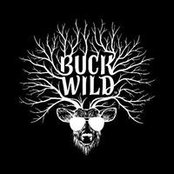 Amy Buckさんの写真