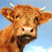 Kate Maloney's photo