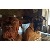 Larissa Coster-Sutherland's photo
