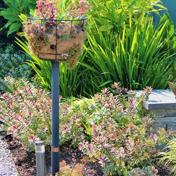 Anacortes Wa backyard