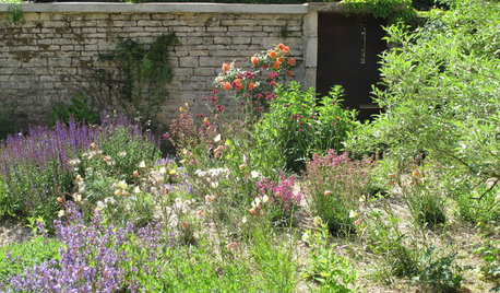 Xeriscaping : Tout ce que vous devez savoir