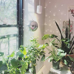 Customer Submitted Favorites - Decorative Accents