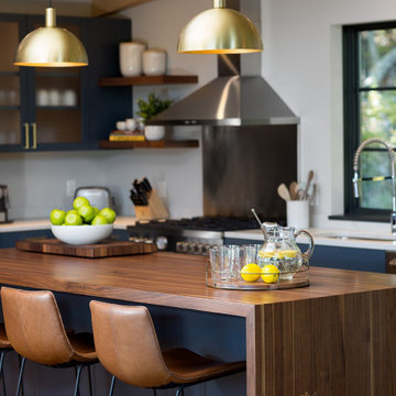 Mid Century Modern Major Renovation