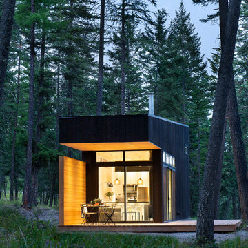 Tiny Houses in the Woods