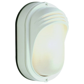 Trans Globe Lighting 4124 1 Light Down Lighting Oval Eye Lashes - White