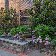 Trellis