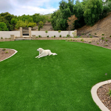 Pet Areas