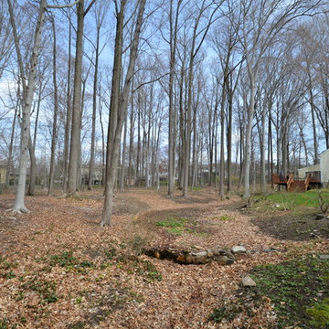 Woodland Garden