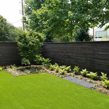 Landscape Backyard
