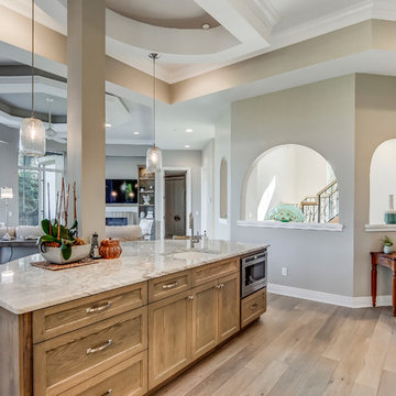 Translucent and Transitional Renovation