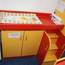 pullout steps