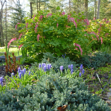 Rural Entry Garden