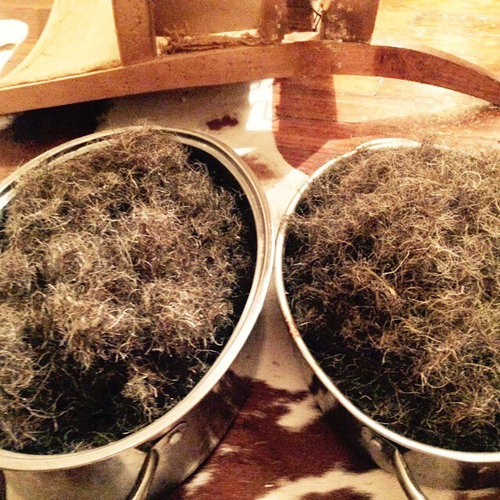 Washing Horsehair stuffing