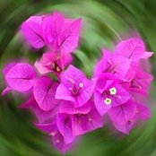 Stacey Smoot's photo