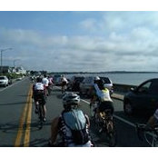 David Palazini's photo