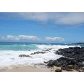 Nancy Millar Dudek's photo